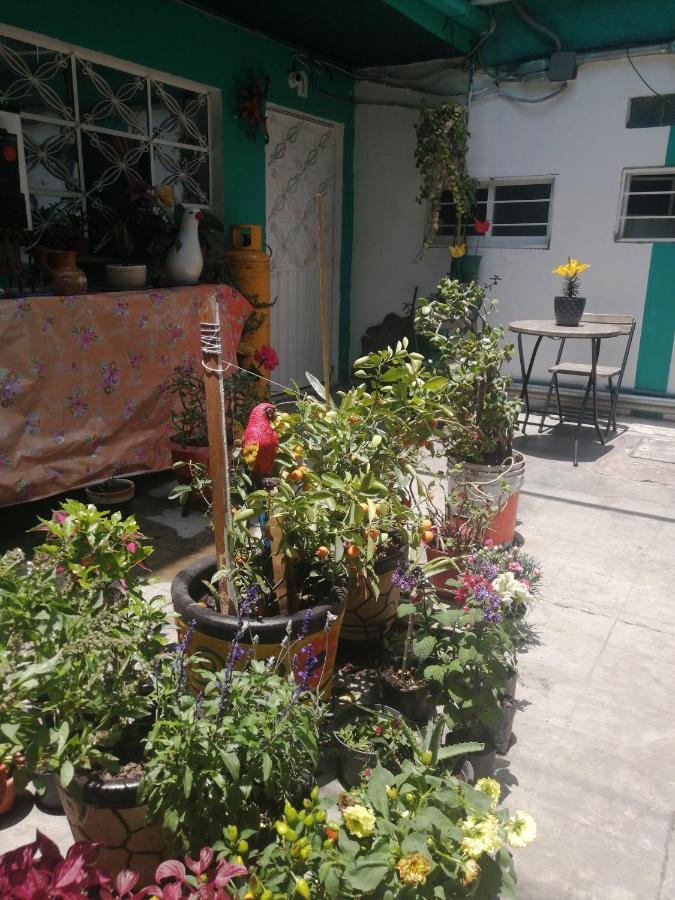 Departamento Cercano Al Aeropuerto T2, A 2 Calles Appartement *